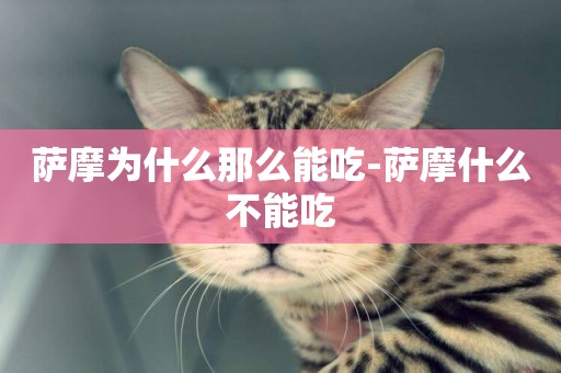 薩摩為什么那么能吃-薩摩什么不能吃