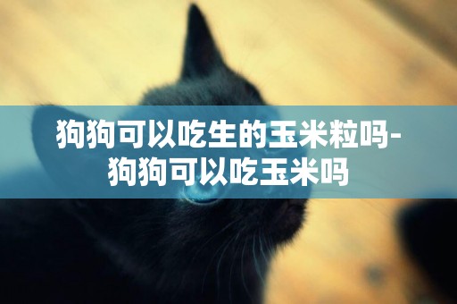 狗狗可以吃生的玉米粒嗎-狗狗可以吃玉米嗎