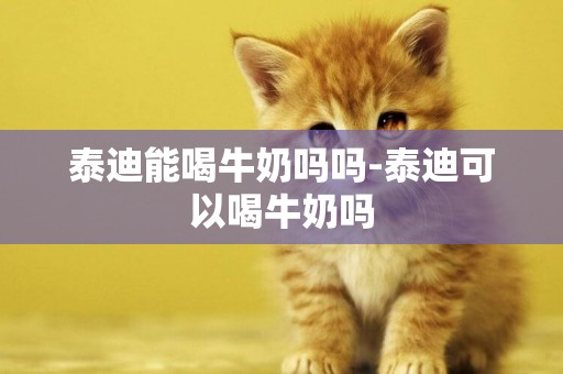 泰迪能喝牛奶嗎嗎-泰迪可以喝牛奶嗎