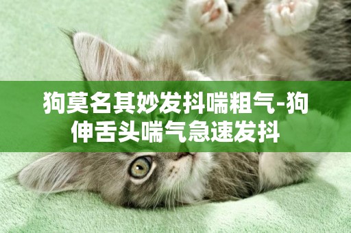 狗莫名其妙發抖喘粗氣-狗伸舌頭喘氣急速發抖