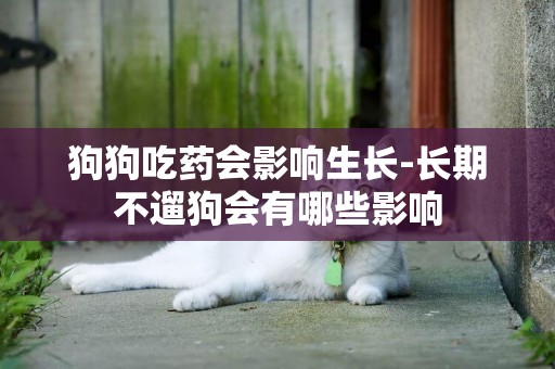 狗狗吃藥會影響生長-長期不遛狗會有哪些影響