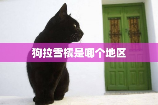狗拉雪橇是哪個地區