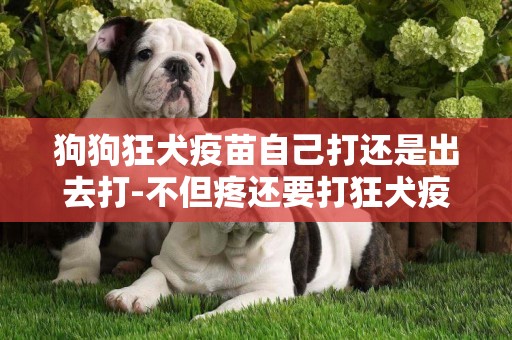 狗狗狂犬疫苗自己打還是出去打-不但疼還要打狂犬疫苗