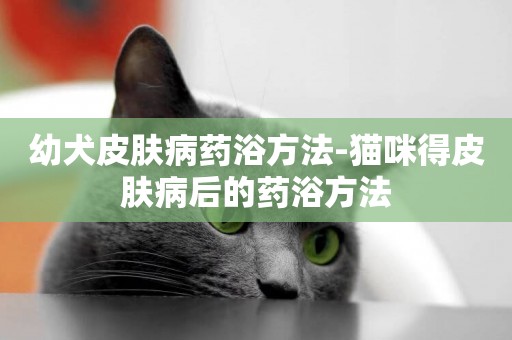 幼犬皮膚病藥浴方法-貓咪得皮膚病后的藥浴方法