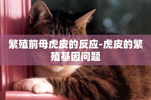 繁殖前母虎皮的反應-虎皮的繁殖基因問題