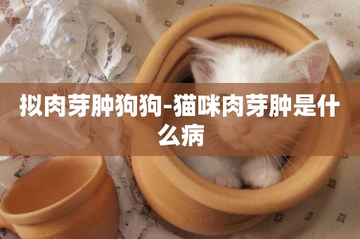 擬肉芽腫狗狗-貓咪肉芽腫是什么病