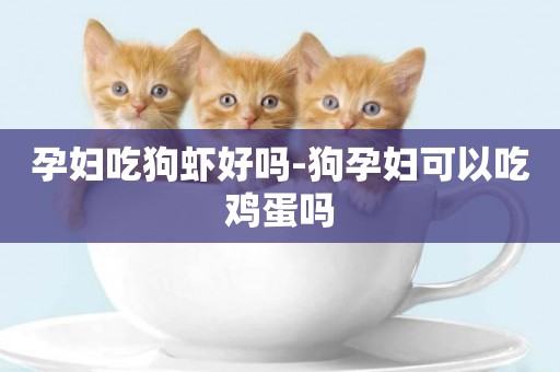 孕婦吃狗蝦好嗎-狗孕婦可以吃雞蛋嗎