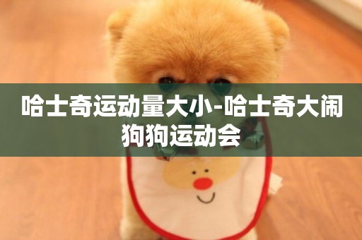 哈士奇運動量大小-哈士奇大鬧狗狗運動會
