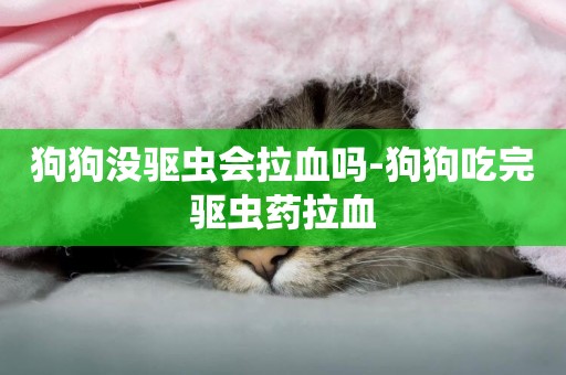 狗狗沒驅蟲會拉血嗎-狗狗吃完驅蟲藥拉血