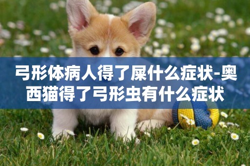 弓形體病人得了屎什么癥狀-奧西貓得了弓形蟲有什么癥狀