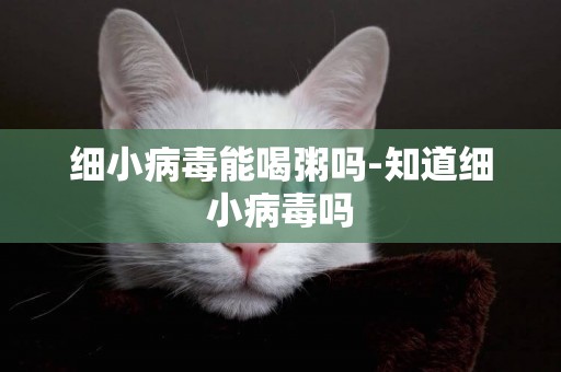 細小病毒能喝粥嗎-知道細小病毒嗎