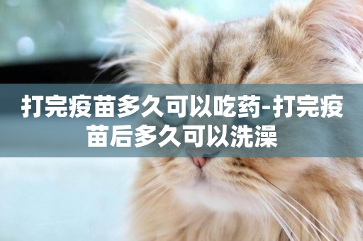 打完疫苗多久可以吃藥-打完疫苗后多久可以洗澡