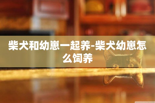 柴犬和幼崽一起養-柴犬幼崽怎么飼養