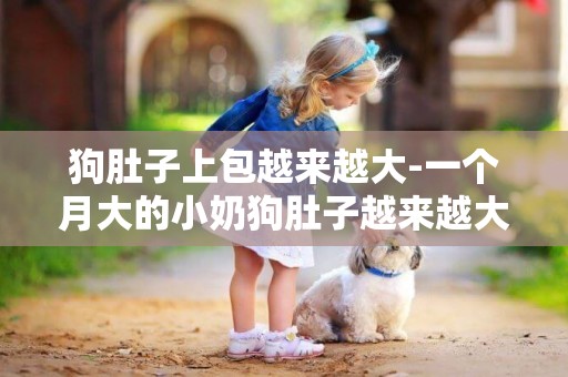 狗肚子上包越來越大-一個月大的小奶狗肚子越來越大的原因竟然是這個