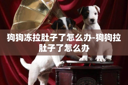 狗狗凍拉肚子了怎么辦-狗狗拉肚子了怎么辦