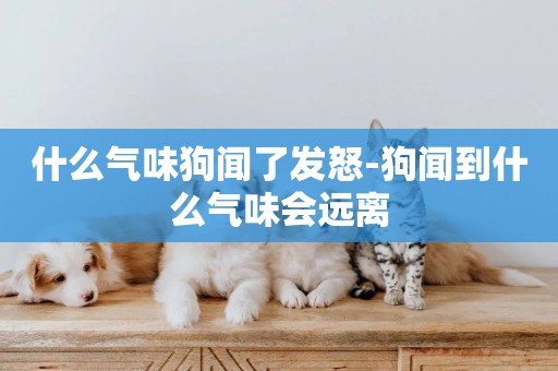 什么氣味狗聞了發怒-狗聞到什么氣味會遠離