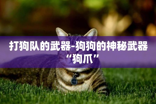 打狗隊的武器-狗狗的神秘武器“狗爪”