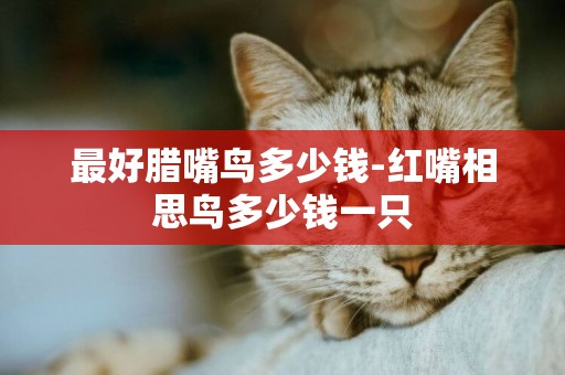最好臘嘴鳥多少錢-紅嘴相思鳥多少錢一只