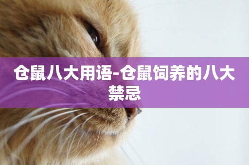 倉鼠八大用語-倉鼠飼養的八大禁忌
