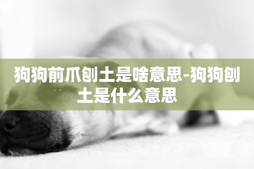 狗狗前爪刨土是啥意思-狗狗刨土是什么意思