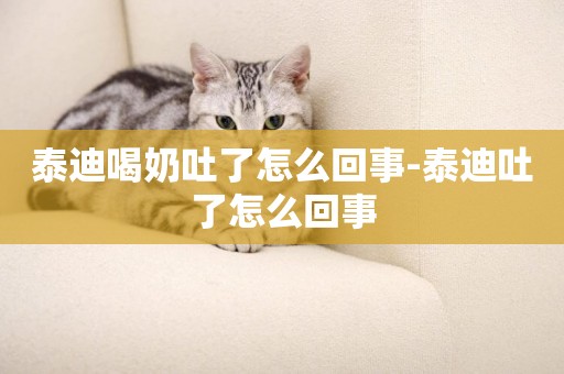 泰迪喝奶吐了怎么回事-泰迪吐了怎么回事