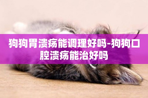 狗狗胃潰瘍能調理好嗎-狗狗口腔潰瘍能治好嗎