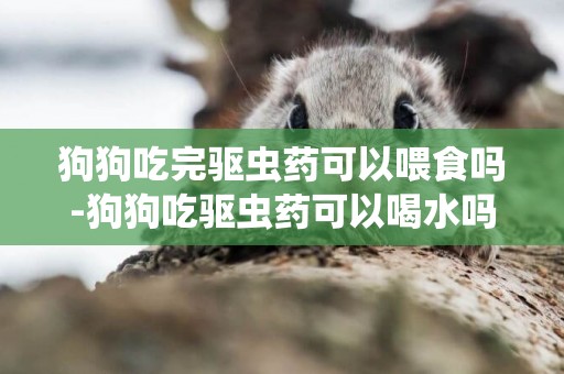 狗狗吃完驅蟲藥可以喂食嗎-狗狗吃驅蟲藥可以喝水嗎