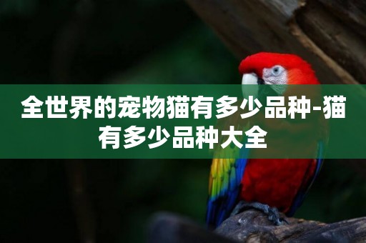 全世界的寵物貓有多少品種-貓有多少品種大全