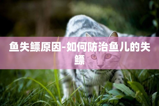 魚失鰾原因-如何防治魚兒的失鰾