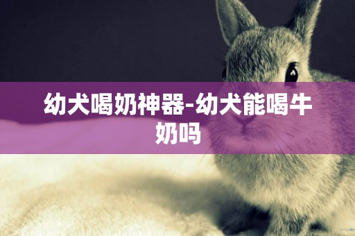 幼犬喝奶神器-幼犬能喝牛奶嗎