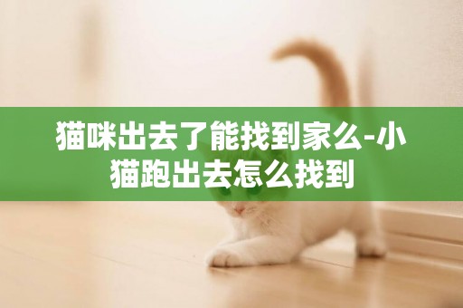 貓咪出去了能找到家么-小貓跑出去怎么找到