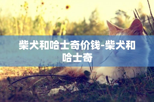 柴犬和哈士奇價錢-柴犬和哈士奇