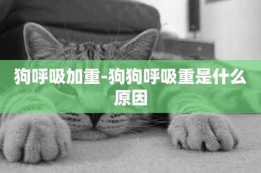 狗呼吸加重-狗狗呼吸重是什么原因
