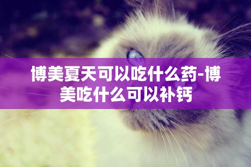 博美夏天可以吃什么藥-博美吃什么可以補鈣