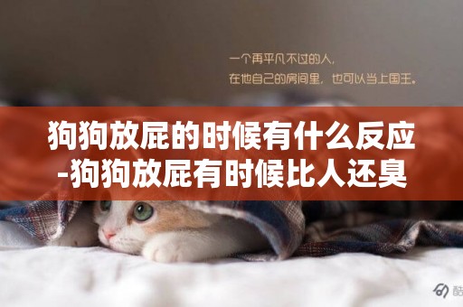 狗狗放屁的時候有什么反應-狗狗放屁有時候比人還臭