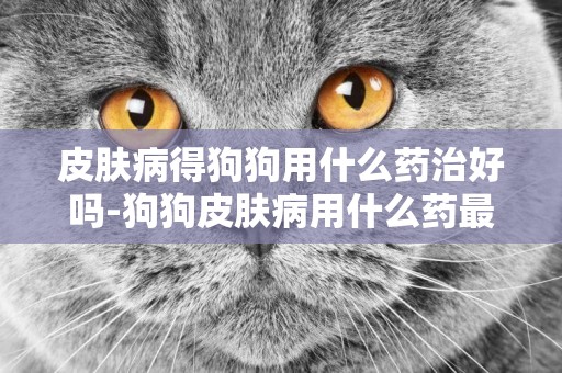 皮膚病得狗狗用什么藥治好嗎-狗狗皮膚病用什么藥最好