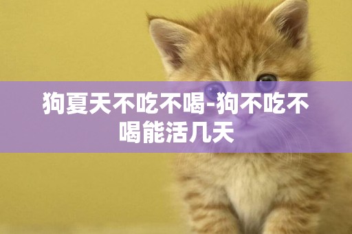 狗夏天不吃不喝-狗不吃不喝能活幾天