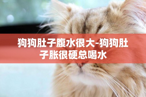 狗狗肚子腹水很大-狗狗肚子脹很硬總喝水