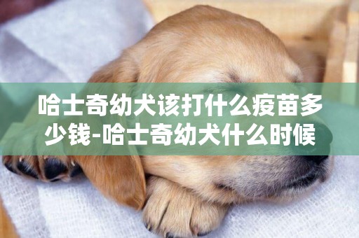 哈士奇幼犬該打什么疫苗多少錢-哈士奇幼犬什么時候打疫苗