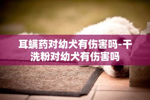 耳螨藥對幼犬有傷害嗎-干洗粉對幼犬有傷害嗎