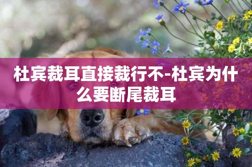 杜賓裁耳直接裁行不-杜賓為什么要斷尾裁耳