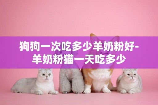 狗狗一次吃多少羊奶粉好-羊奶粉貓一天吃多少