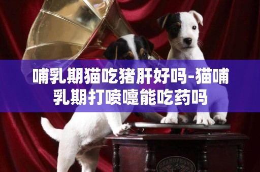 哺乳期貓吃豬肝好嗎-貓哺乳期打噴嚏能吃藥嗎