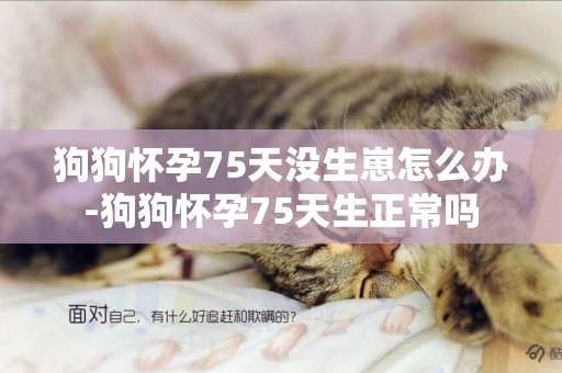 狗狗懷孕75天沒生崽怎么辦-狗狗懷孕75天生正常嗎
