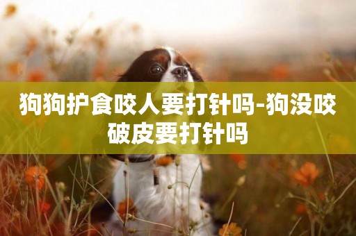 狗狗護食咬人要打針嗎-狗沒咬破皮要打針嗎