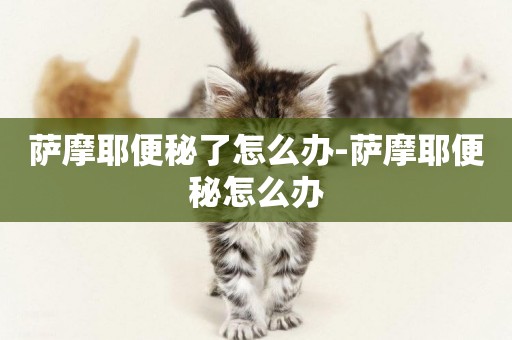 薩摩耶便秘了怎么辦-薩摩耶便秘怎么辦