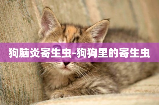 狗腦炎寄生蟲-狗狗里的寄生蟲