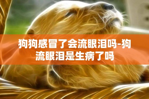 狗狗感冒了會流眼淚嗎-狗流眼淚是生病了嗎