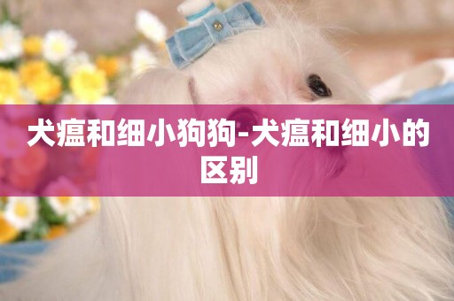 犬瘟和細小狗狗-犬瘟和細小的區別
