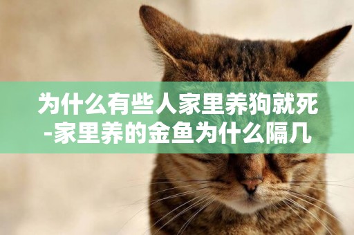 為什么有些人家里養狗就死-家里養的金魚為什么隔幾天就死一條